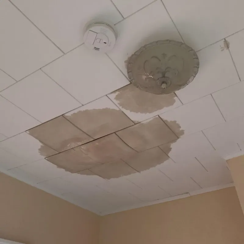 Ceiling Water Damage Repair in Ellis County, TX
