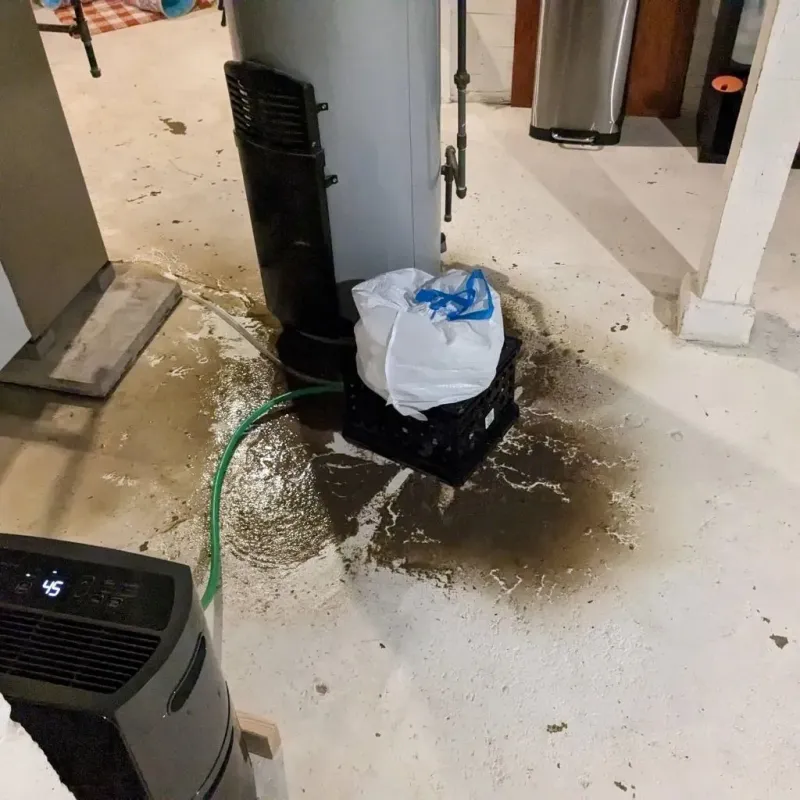 Sewage Backup Cleanup Service in Ellis County, TX